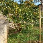 Apartament Rak Ražanj