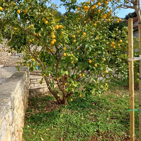 Apartament Rak Ražanj