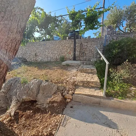 Rak *