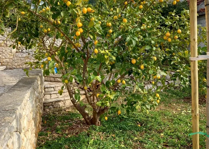 דירה Rak Ražanj